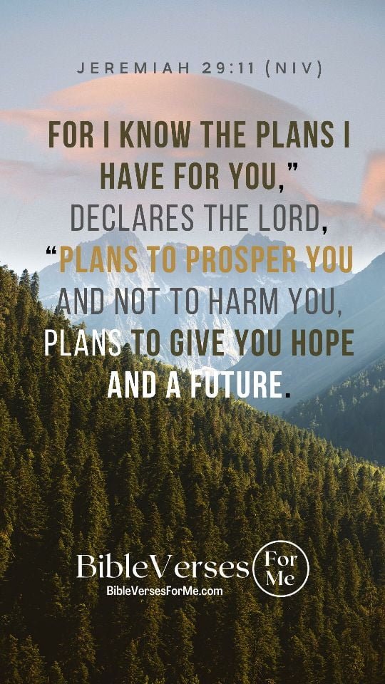 Jeremiah 29:11 Bible Verse Wallpaper | Plans to prosper you, declares the  Lord